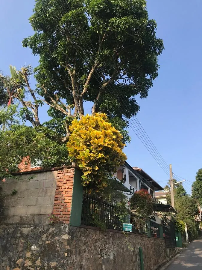 Amigo'S Home Stay Kandy