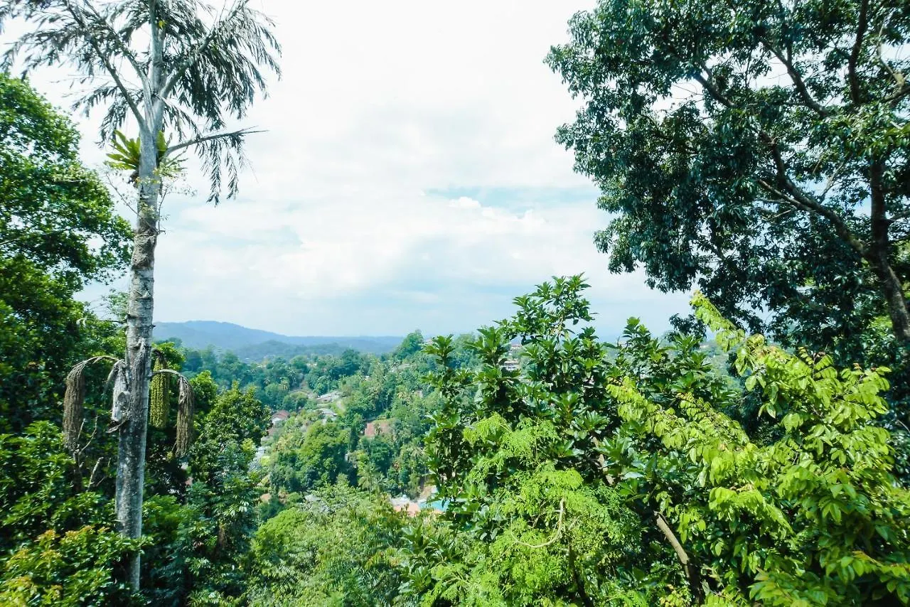 Amigo'S Home Stay Kandy